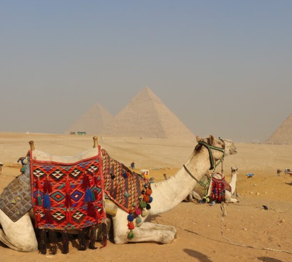 egipto, desierto, piramides, viaje, experiencia, cultura,