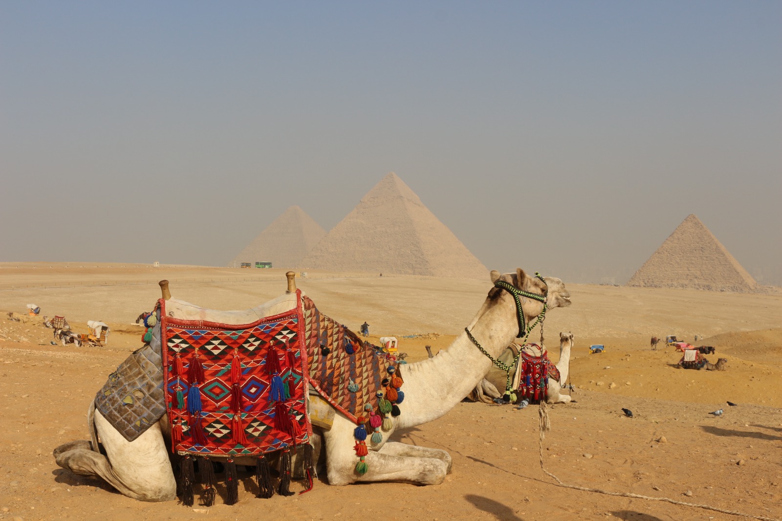 Experiencias culturales