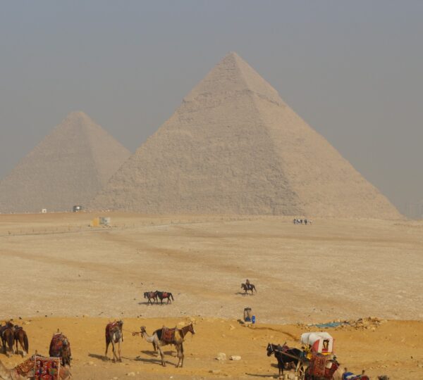 egipto, desierto, piramides, viaje, experiencia, cultura,