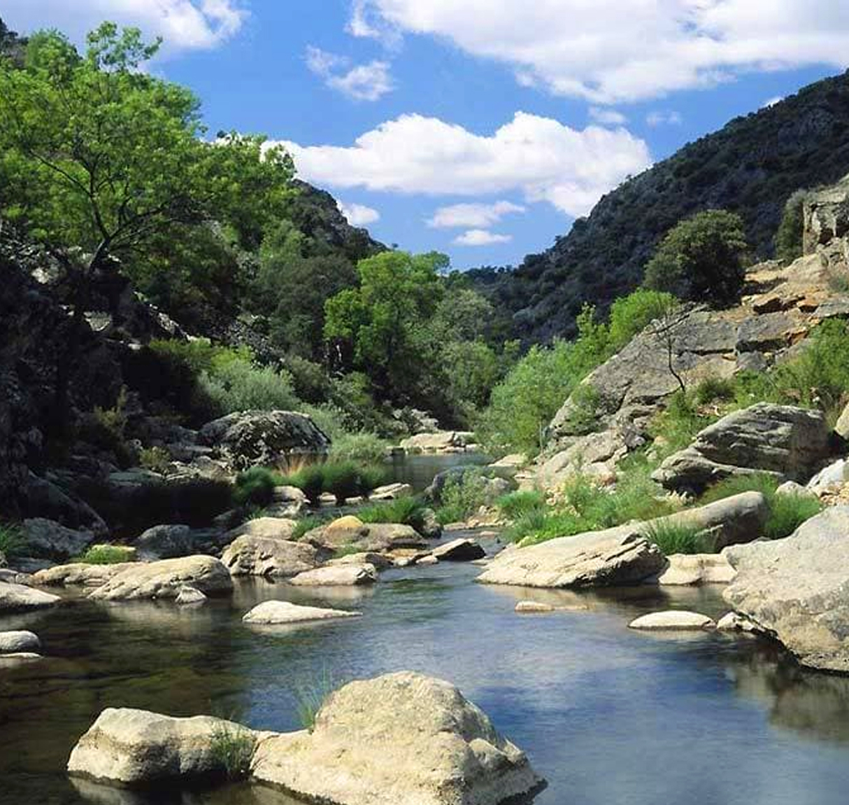Experiencias en la naturaleza