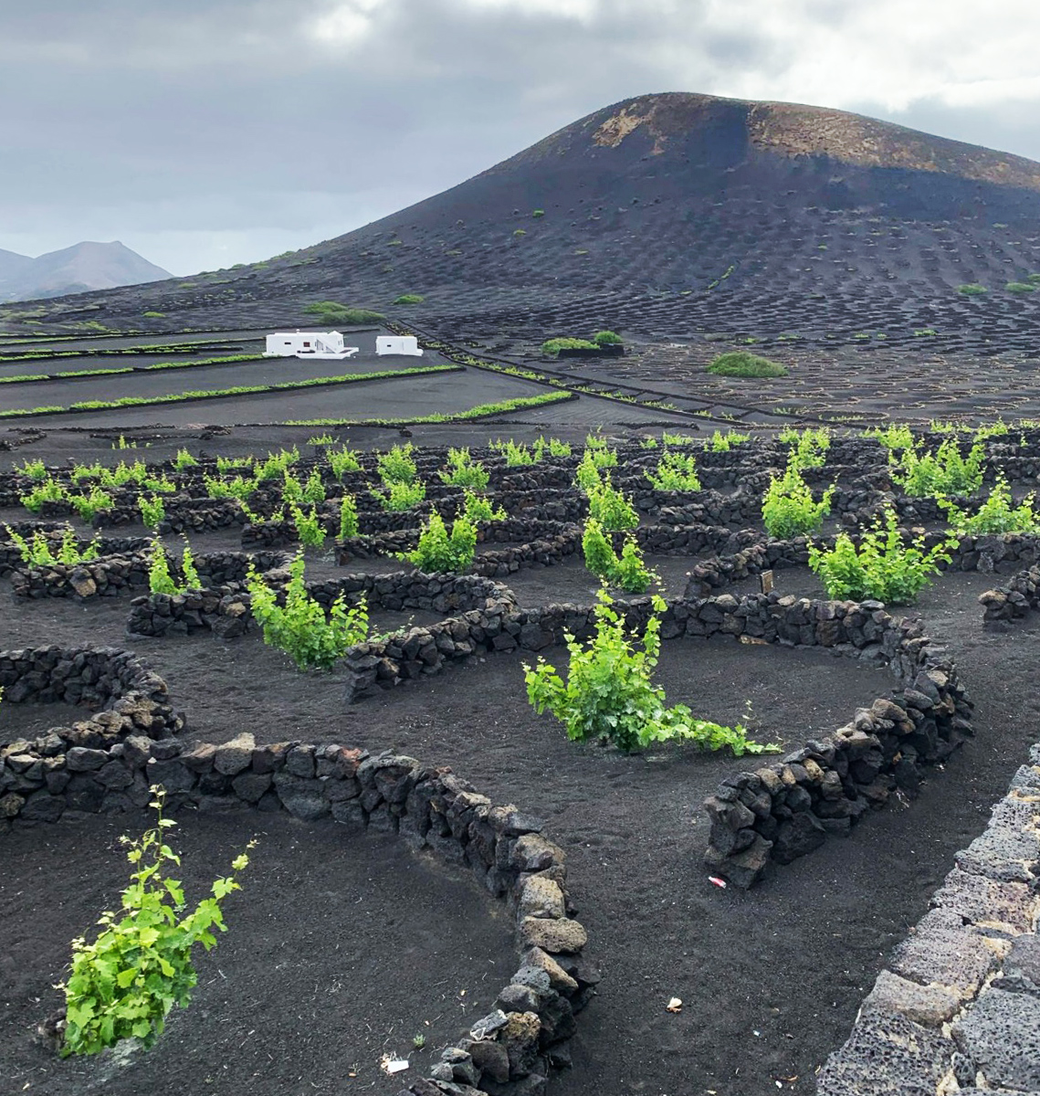 islas canarias, tierra volcánica, crucero por las canarias
