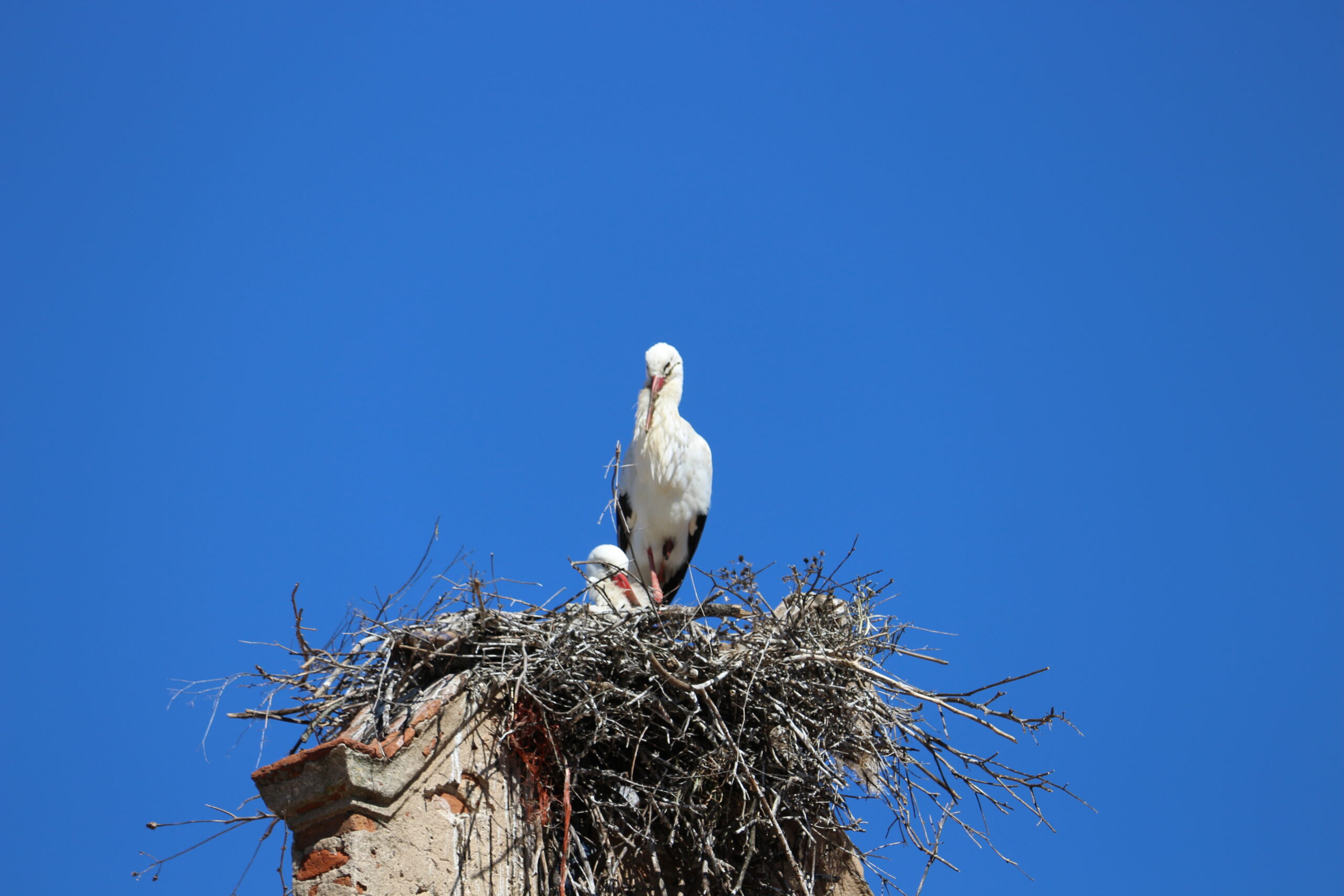 España turismo destinos, experiencias que emocionan
