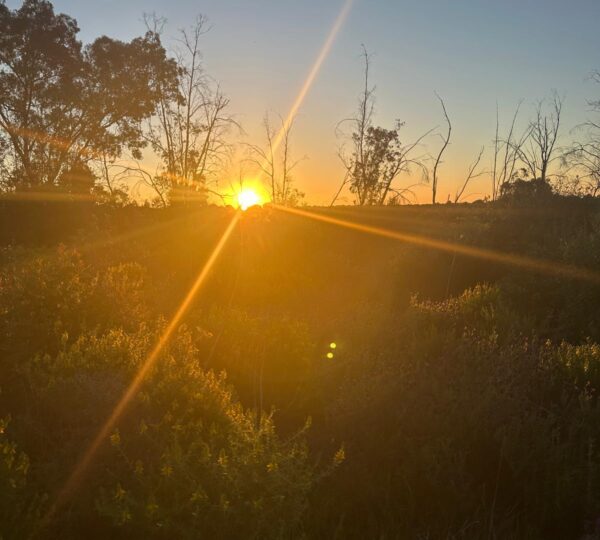 Puesta de sol
