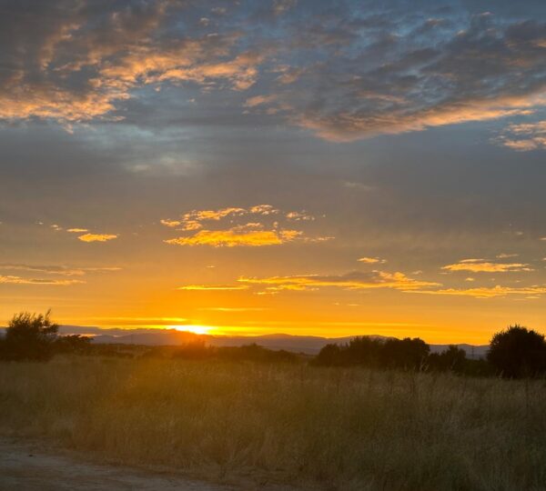 Puesta de sol1