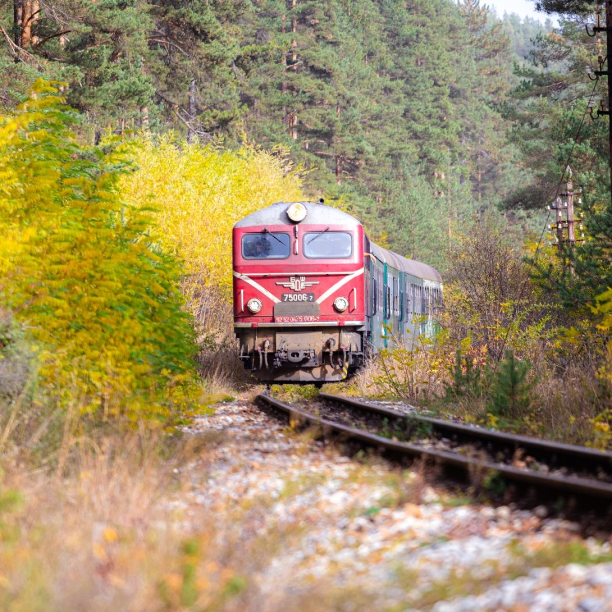 bulgaria, experiencia, naturaleza, viaje,