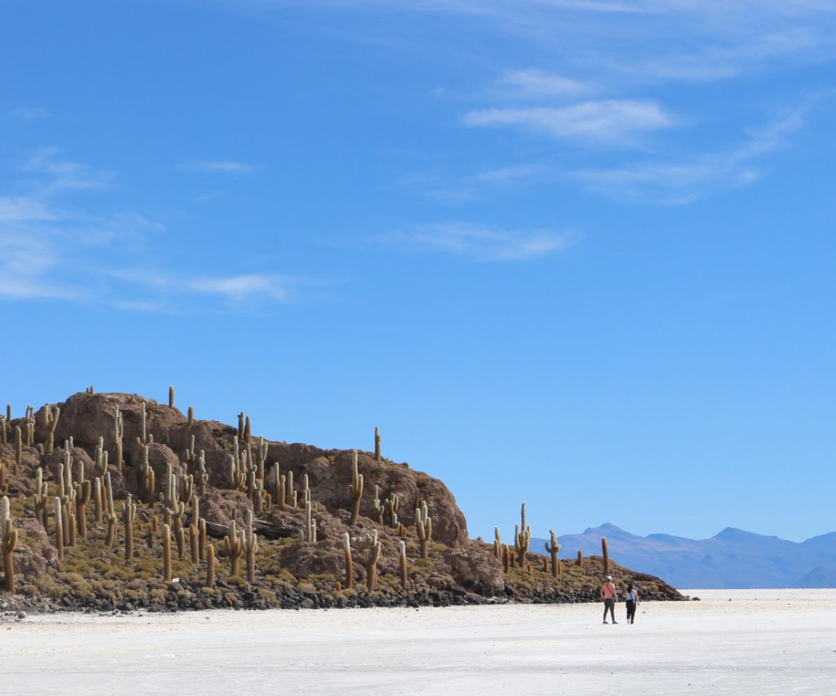 bolivia, andes, titicaca, naturaleza, experiencias, tiahyanaco, uyuni, viaje