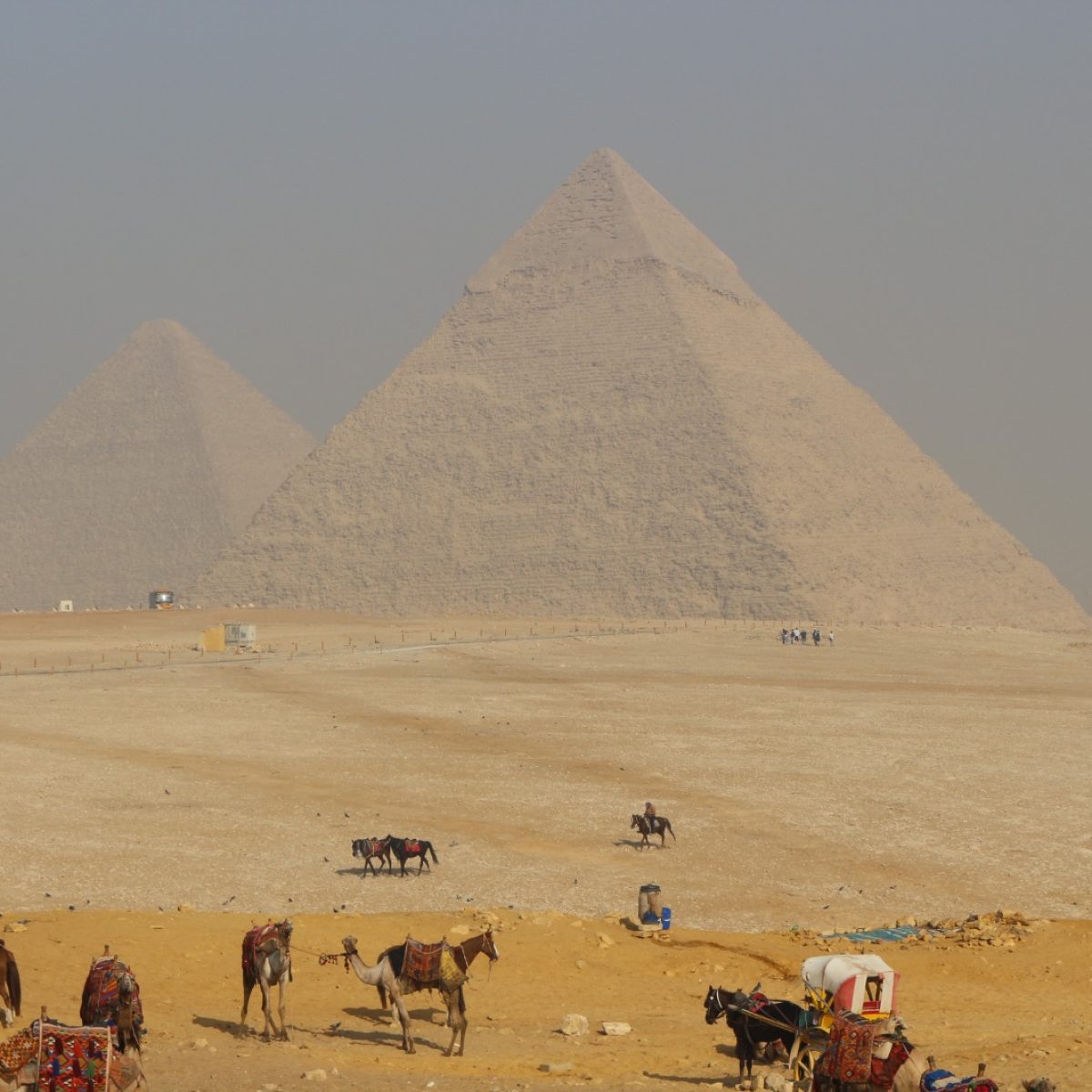 egipto, desierto, piramides, viaje, experiencia, cultura,